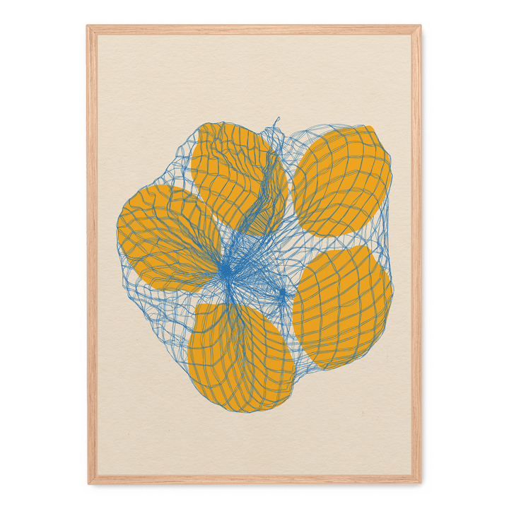 Five Lemons In A Net Bag