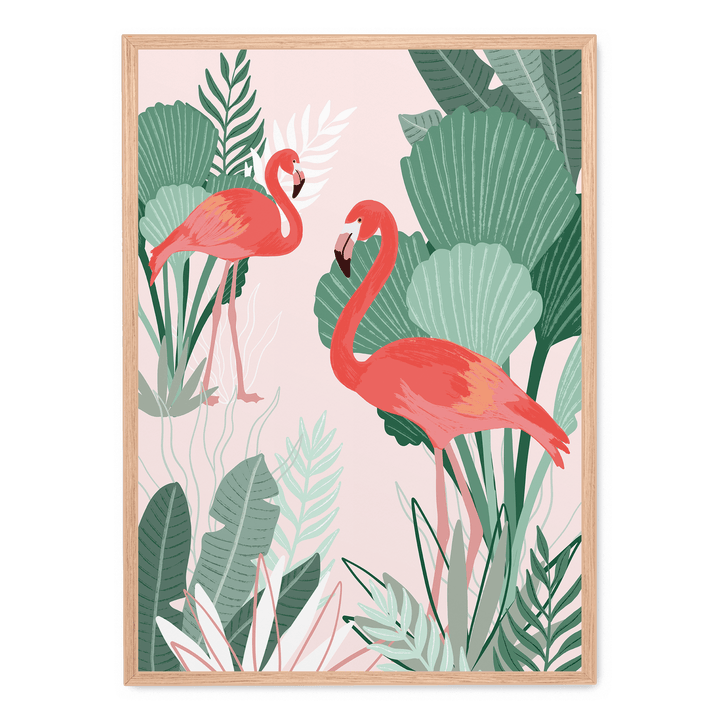 Flamingo Dreams