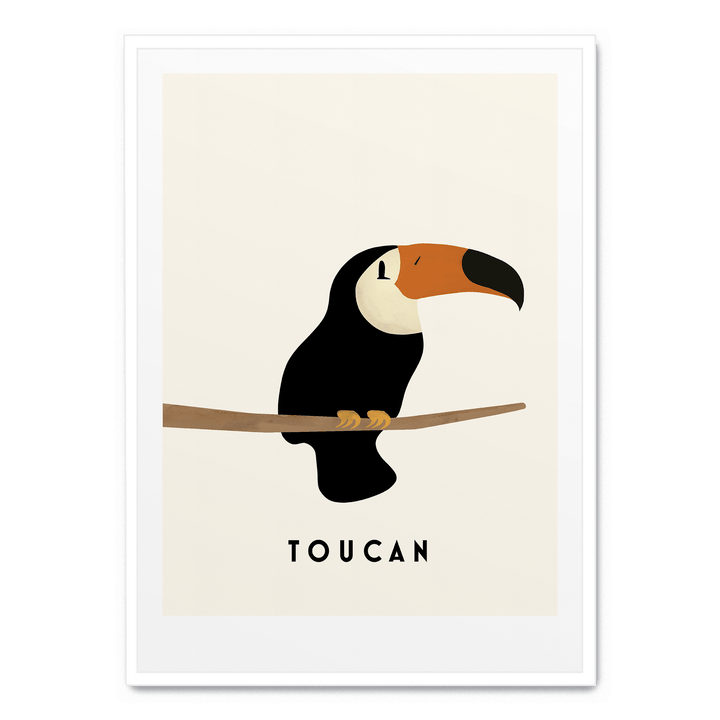 Little Toucan