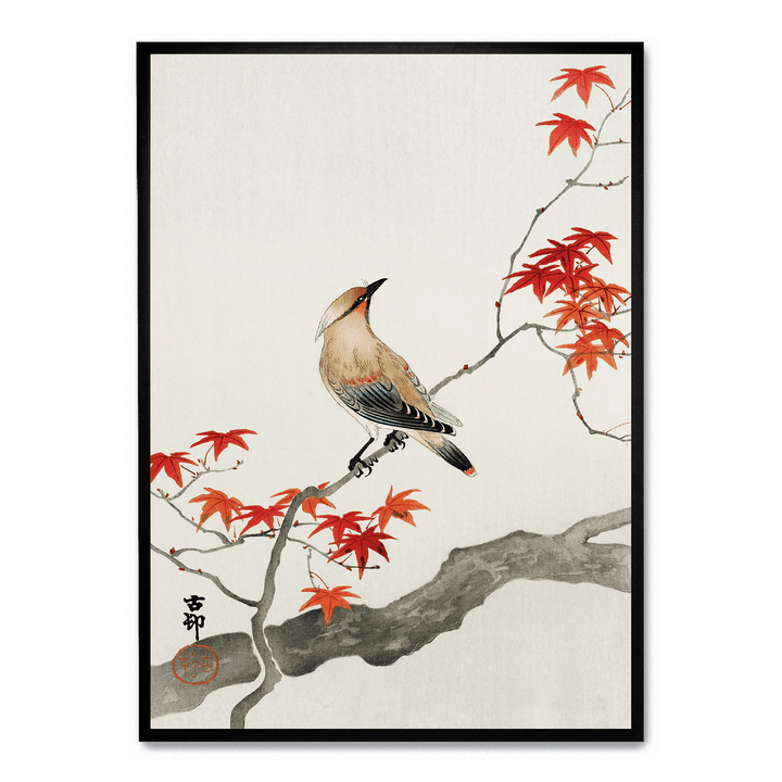 Ohara Koson - Plague Bird On Maple