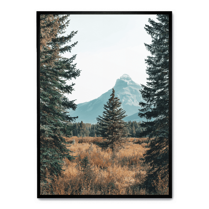 Landscape With Pinetrees