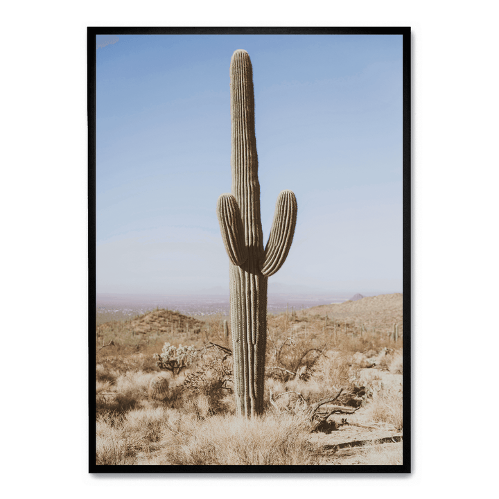 Large Cactus