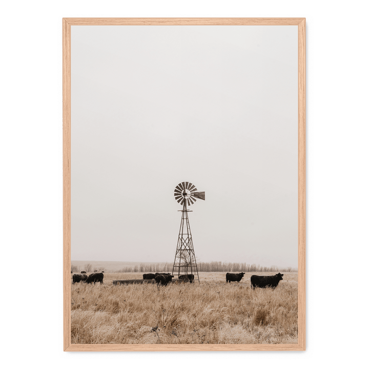 Old Fashioned Windmill