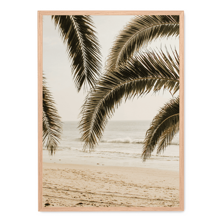 Palm Leaves On The Beach