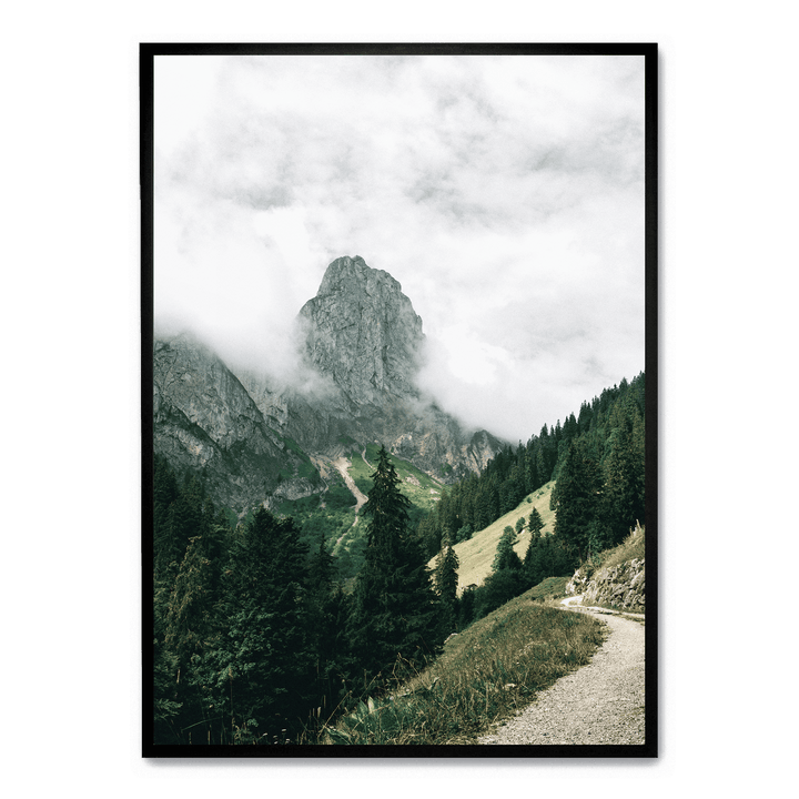 Path Overlooking The Mountains