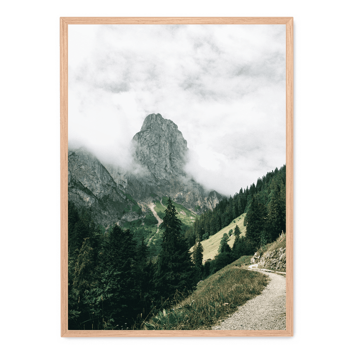 Path Overlooking The Mountains