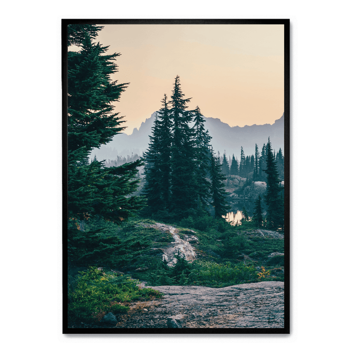 Sunshine In The Woods 2