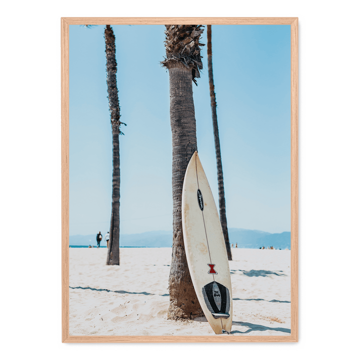 Surfboard By A Palm Tree