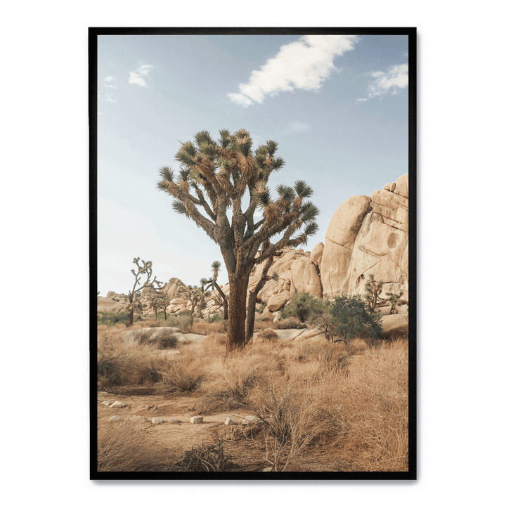 Tree In The Desert