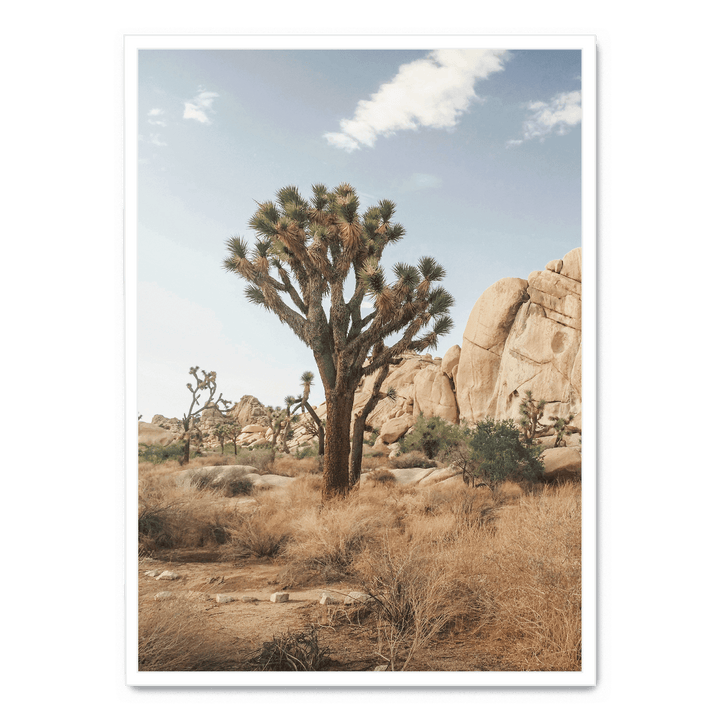 Tree In The Desert