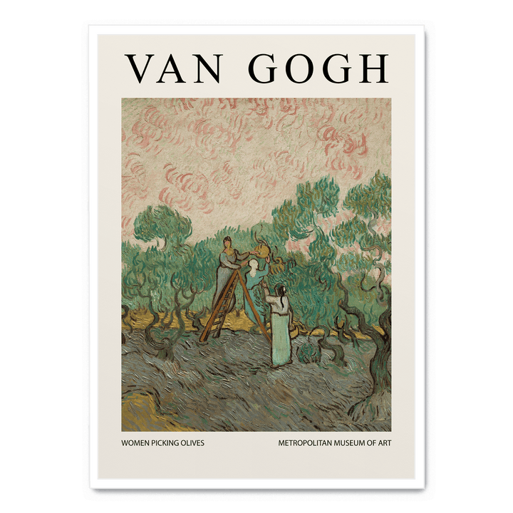 Women Picking Olives