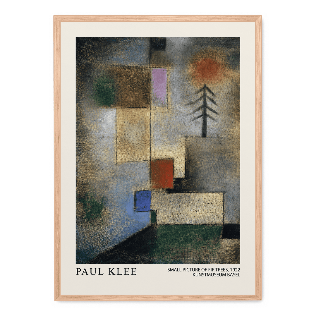 Small Picture Of Fir Trees