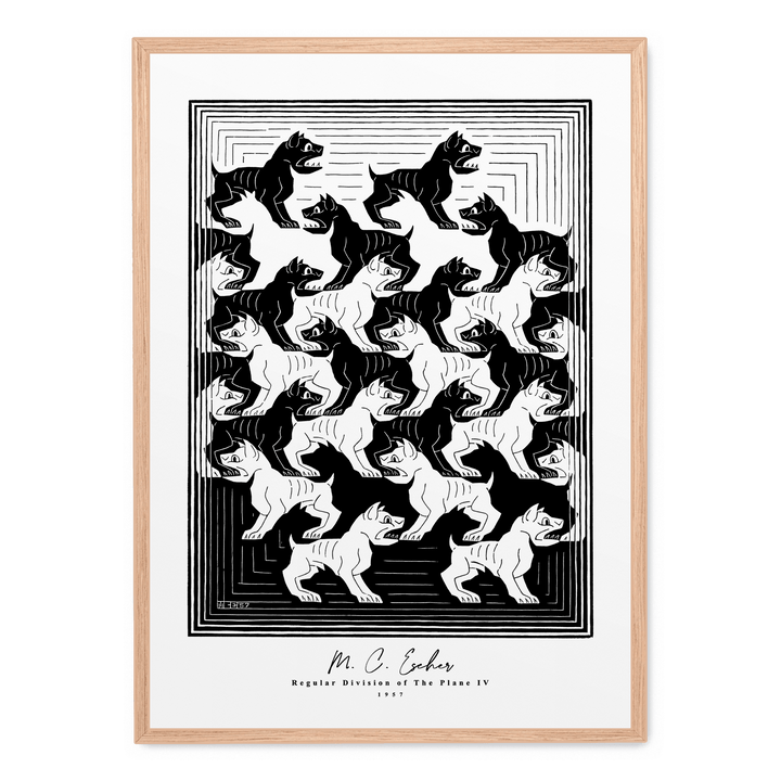 Regular Division Of The Plane IV