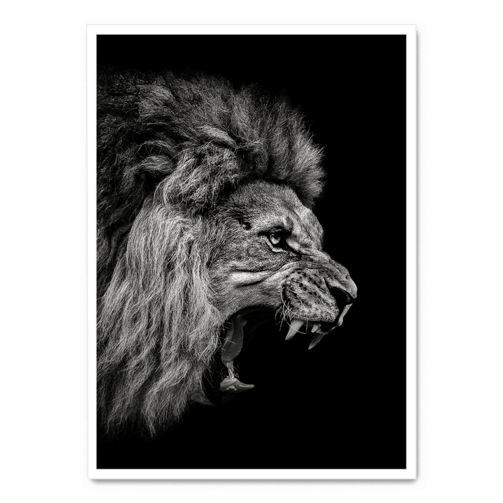 Roaring Lion