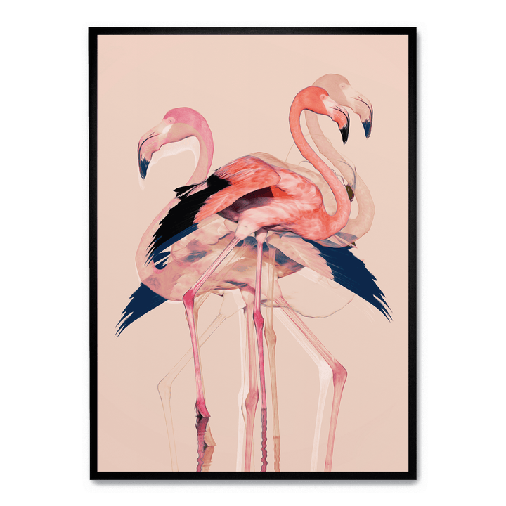 Flamingos No. 3