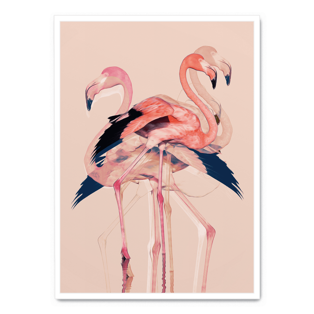 Flamingos No. 3