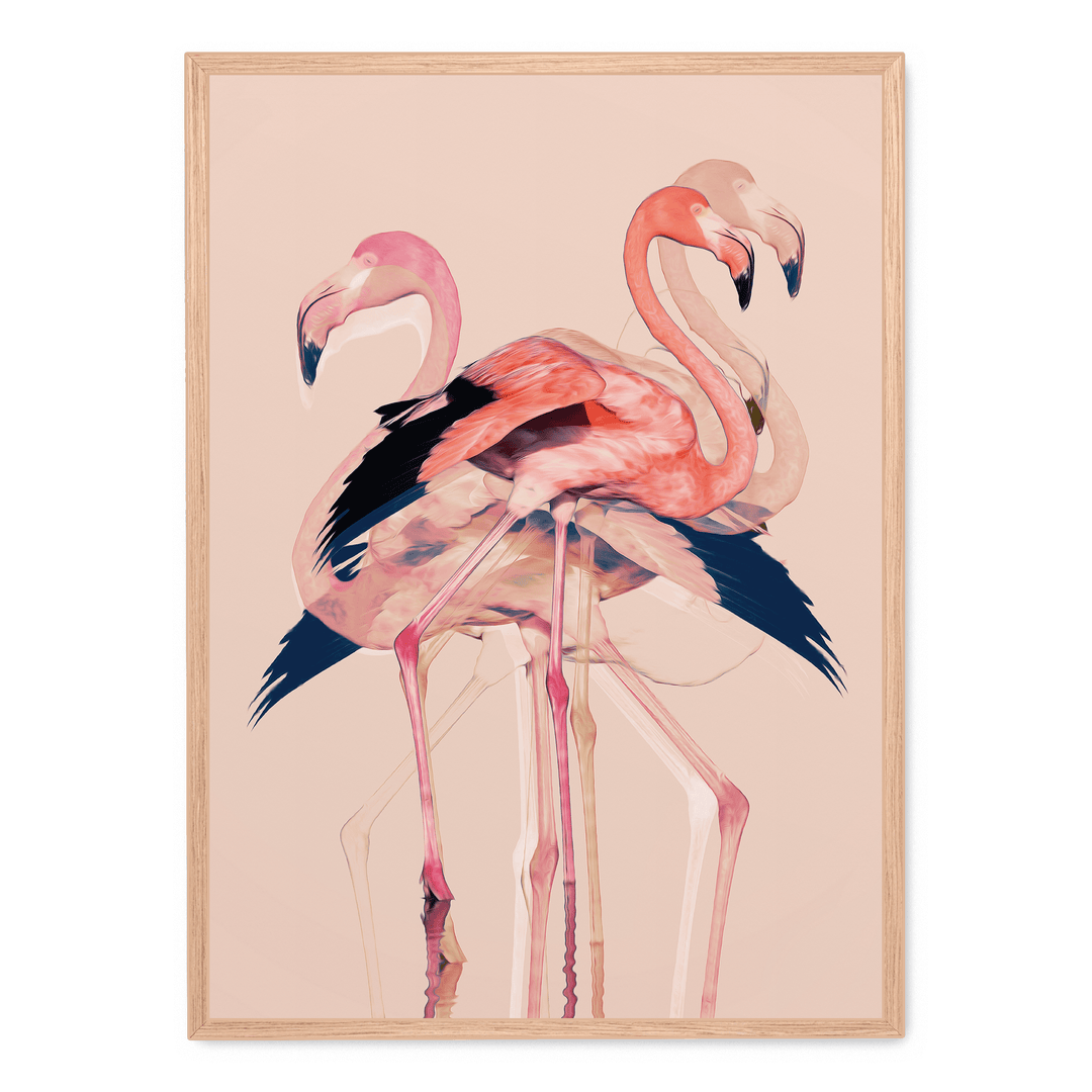 Flamingos No. 3